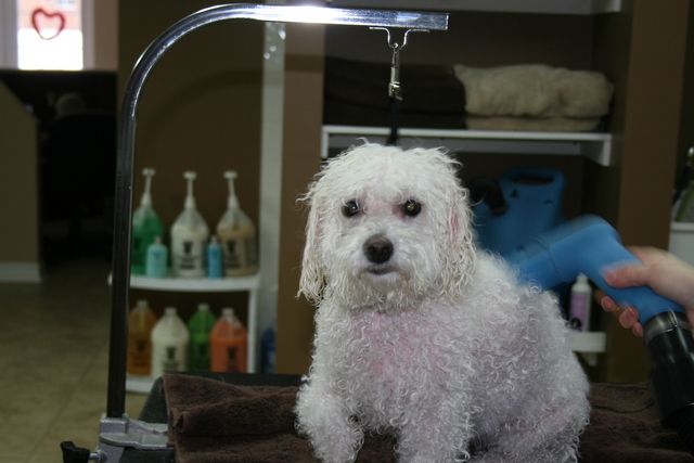 Getting dried